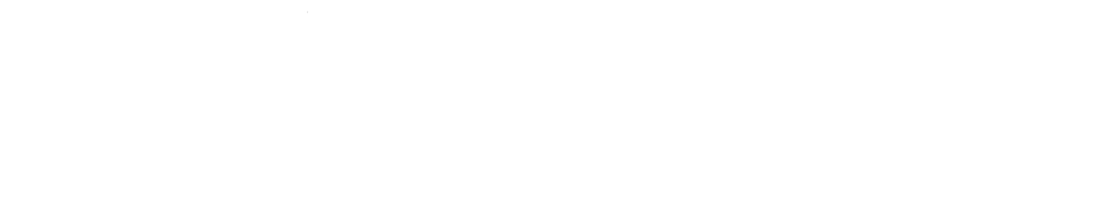 civic nexus white logo